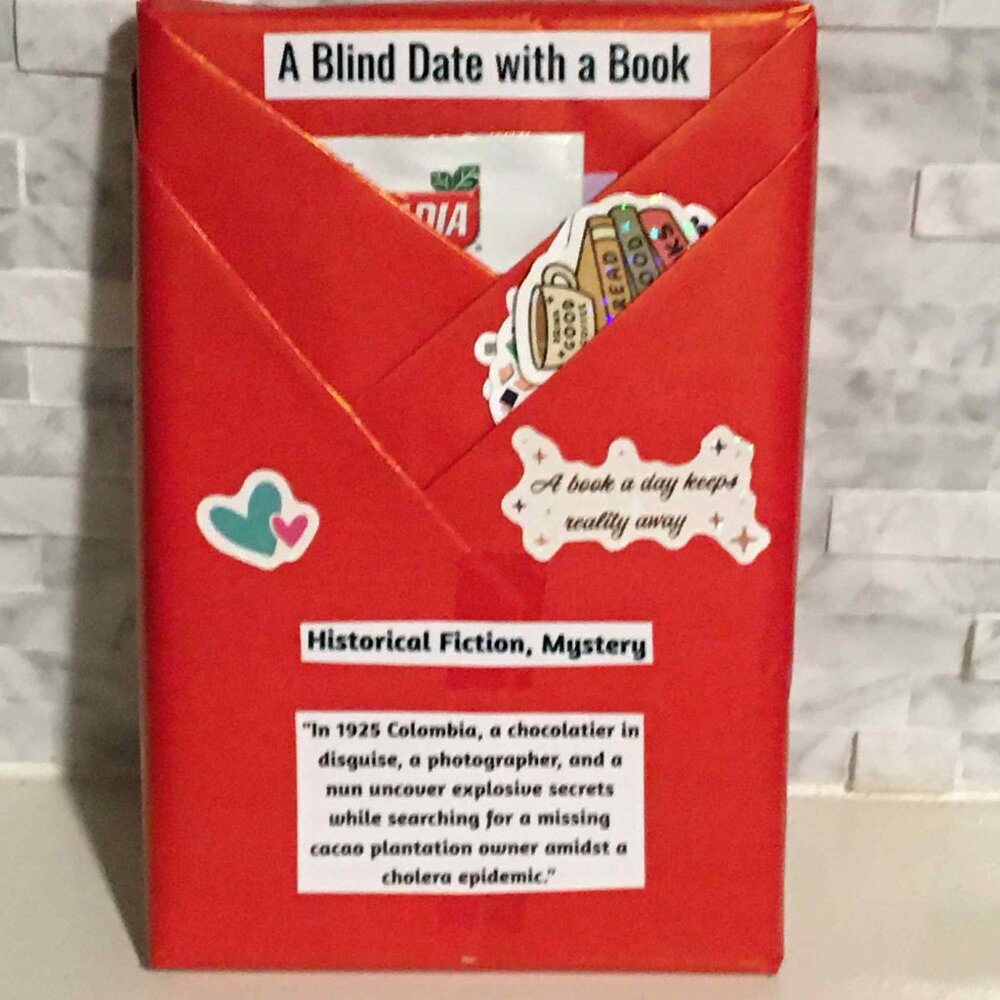📚 Blind Date With a Book – Mystery Read, Wrapped Surprise, Perfect Gift!
